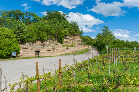 Oberderdingen, Germany - April 30, 2018: Natural monument Geological window at Derdinger Horn near Oberderdingen. Oberderdingen is a small village in the Kraichgau region of Germanyのeditorial素材