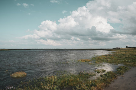 Coming tide in the salt marshes. Fedderwardersiel in East Frisland in Germany.