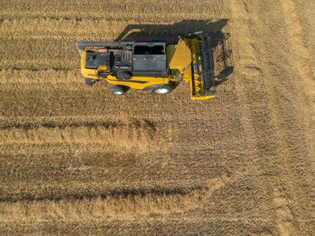 Combine harvester parked in cornfield near Coljinsplaat. Province of Zeeland in the Netherlandsの写真素材