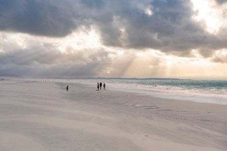Landscape with a view over Banjaard Beach near Kamperland. Kamperland is a city in the province of Zeeland in the Netherlandsの写真素材