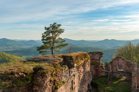 View to ruins of Neu Scharfeneck Castle in Palatinate Forest Nature Park. Flemingen in Rhineland-Palatinate in Germanyの写真素材