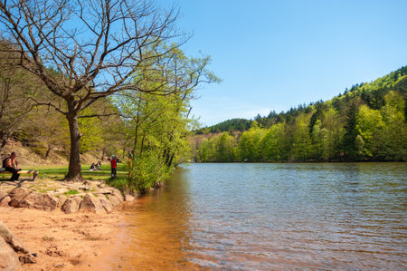 Erlenbach, Germany - May 03, 2021: Landscape at Seehofweiher in Palatinate Forest Nature Park near Erlenbach. Region Palatinate in state of Rhineland-Palatinate in Germanyのeditorial素材