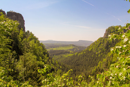 Tatras Mountains covered by green pine forests, Czech Republicの写真素材