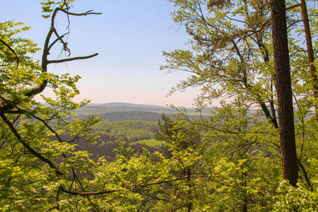 Tatras Mountains covered by green pine forests, Czech Republicの写真素材