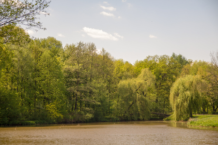 Lake in the city park in Pszczyna, Polandの写真素材