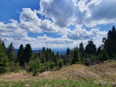 Spring landscape in the Polish mountains, Czantoria, Polandの写真素材
