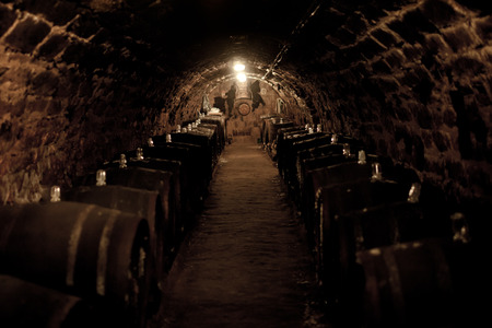 An old cellar of a traditional wine producer in Tokay Hungaryの写真素材