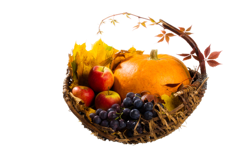 fall cornucopiaの写真素材