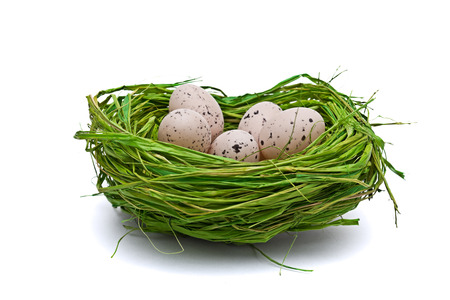 Nest full of eggs. Isolated on a white background.の写真素材
