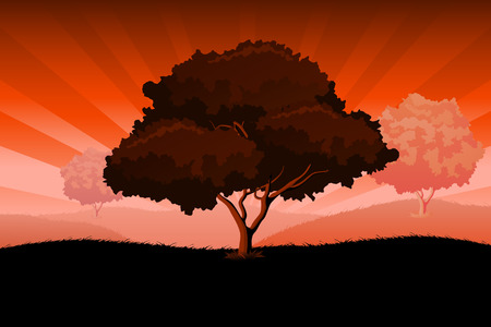 Amazing landscape with trees sun rays and skyのイラスト素材