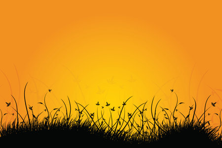 Amazing natural sunrise landscape with grass silhouette for your designのイラスト素材