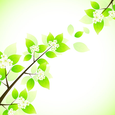 Two Spring tree branches with flowers for your designのイラスト素材