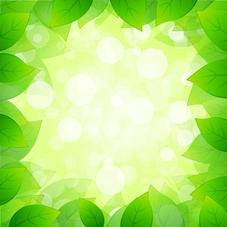 Green Framing with Leaves and Sparklesのイラスト素材