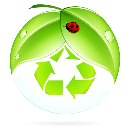 Recycling Symbol with Leaves and Ladybugのイラスト素材