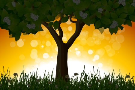 Amazing Sunrise Landscape with Grass Flowers and Treeのイラスト素材