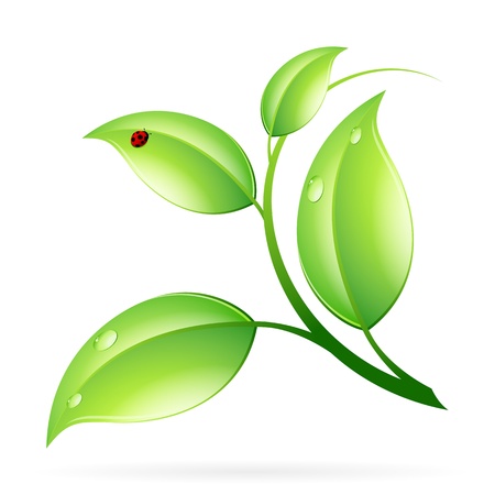 Logo Ecology Concept with Green Leaves and Ladybugのイラスト素材