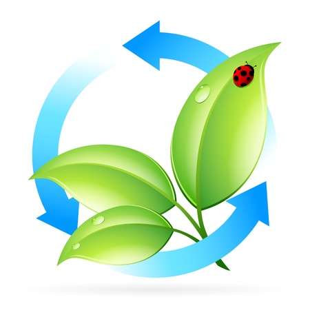 Logo Nature Recycle with Leaves Arrows and Ladybirdのイラスト素材