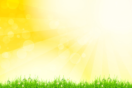 Fresh green grass with yellow bokeh and sunlight and flowers. Beauty natural backgroundのイラスト素材