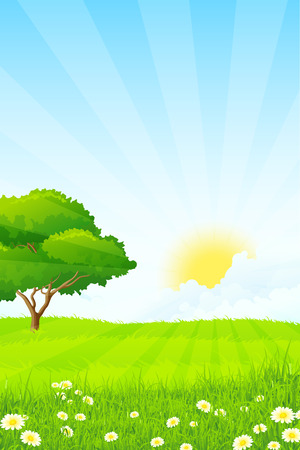 Green Grass with Tree, Sun, Clouds and Raysのイラスト素材