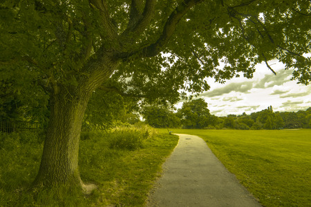 Pathの写真素材