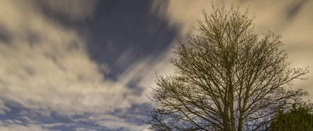 Starry sky surrounded by treesの写真素材