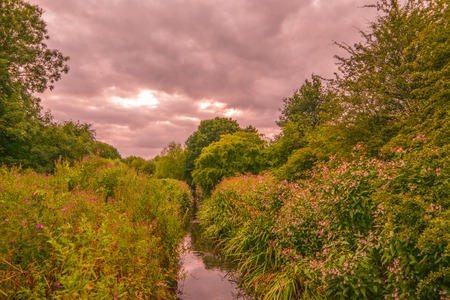 beauiful park landscape with cloudy sky