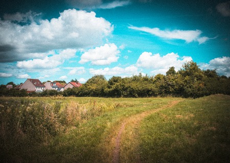 Spring nature, landscape