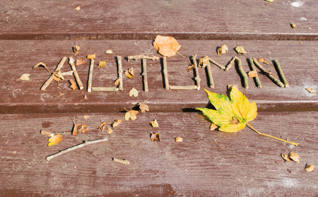 Autumn made of ree branches and fallen leaves.の写真素材