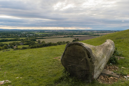 a chair craved inside a tree, looking at charming British coutryside.の写真素材