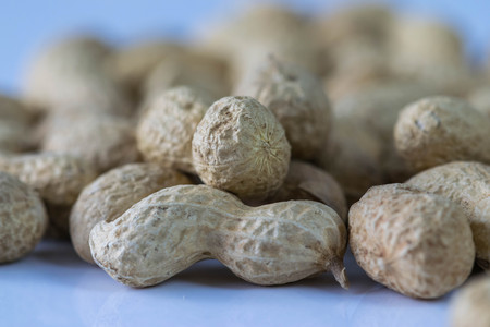 close up of dried peanuts on a white background