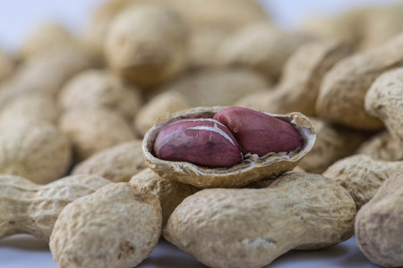 close up of dried peanuts on a white backgroundの写真素材