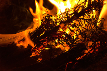 On a cold night at the mountains, fire is always your friend.  The Beauty of fire .の写真素材