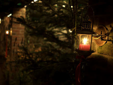 gardenの写真素材