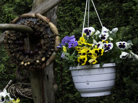 gardenの写真素材