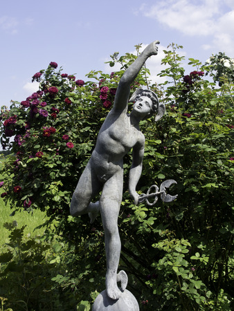 gardenの写真素材