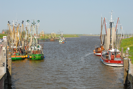 greetsielのeditorial素材