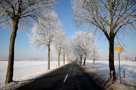 winterの写真素材