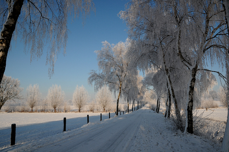 snowの写真素材
