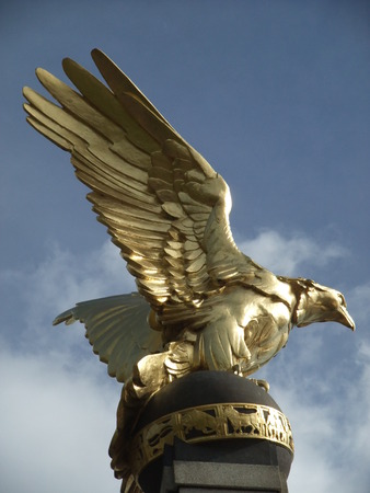 eagleの写真素材