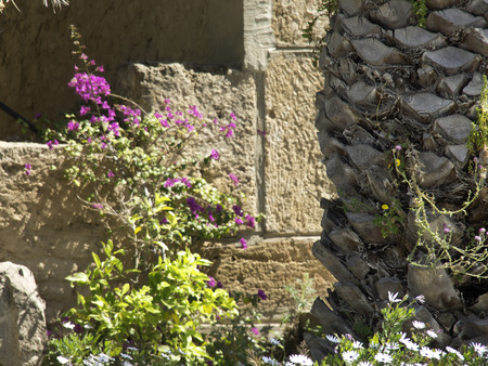 Tunisの写真素材