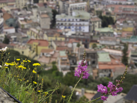 Naplesの写真素材