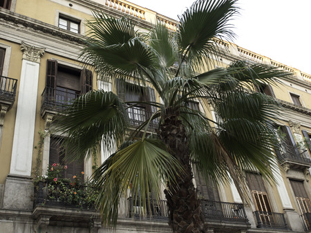 Barcelonaの写真素材