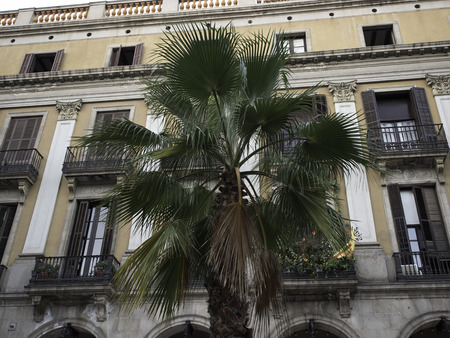 Barcelonaの写真素材