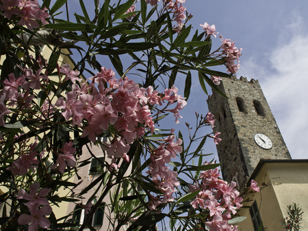 towerの写真素材
