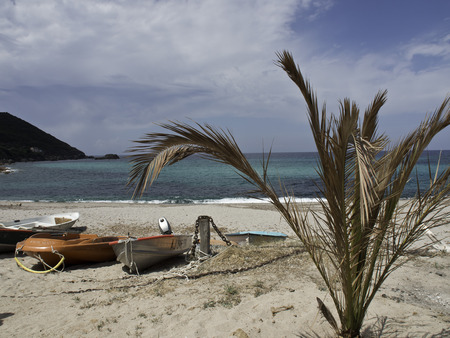 Beachのeditorial素材