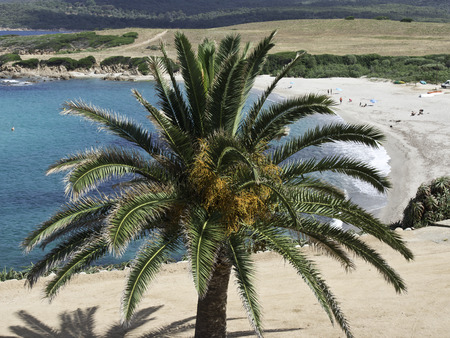 beachの写真素材