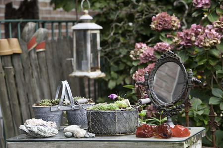 gardenの写真素材