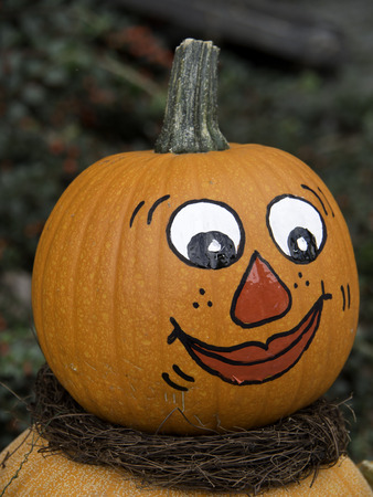 pumpkinsの写真素材