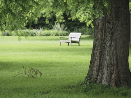 bench in the parkのeditorial素材