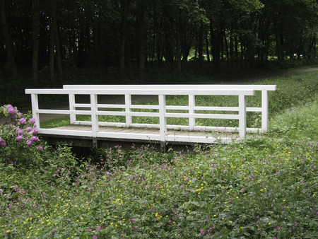 bridgeのeditorial素材